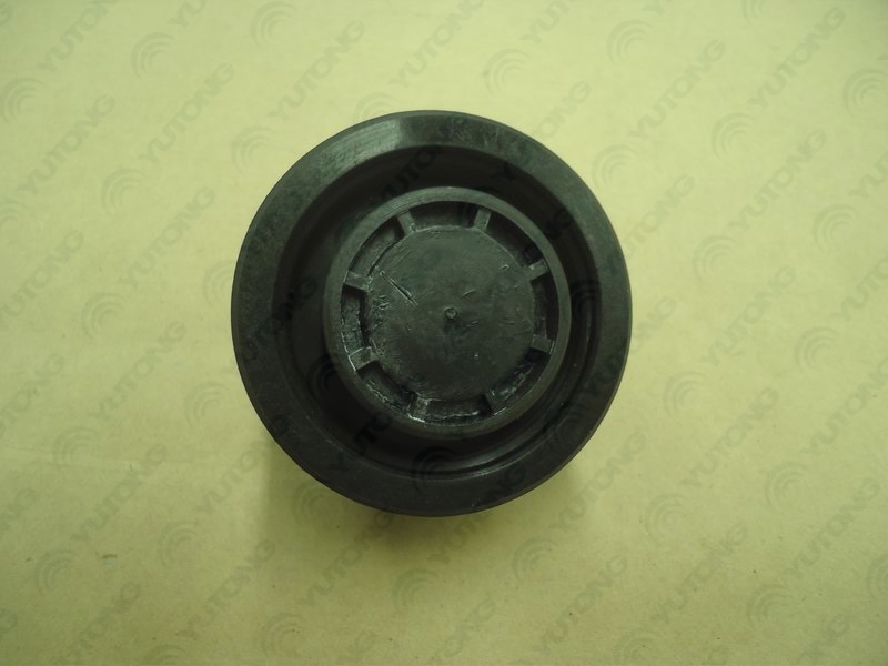Expansion water tank, plastic pressure cover, M44*2.5, 75kPa-1