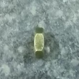 Thin nut; reverse wire M16-1