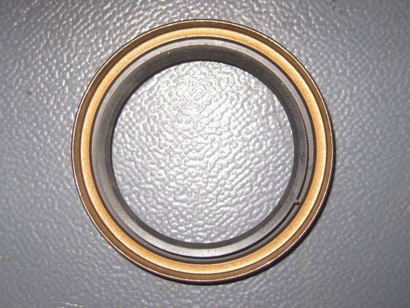 One-axis oil seal-1