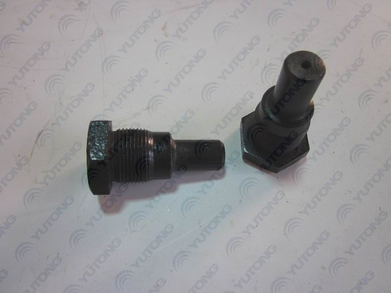 Shift fork support pin