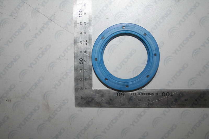 Shift shaft oil seal