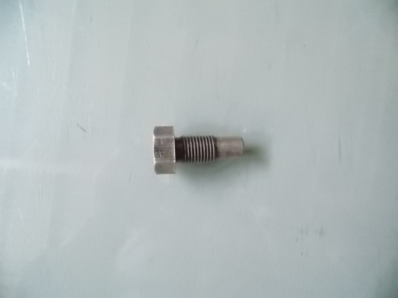 Limit inverted guide bolt
