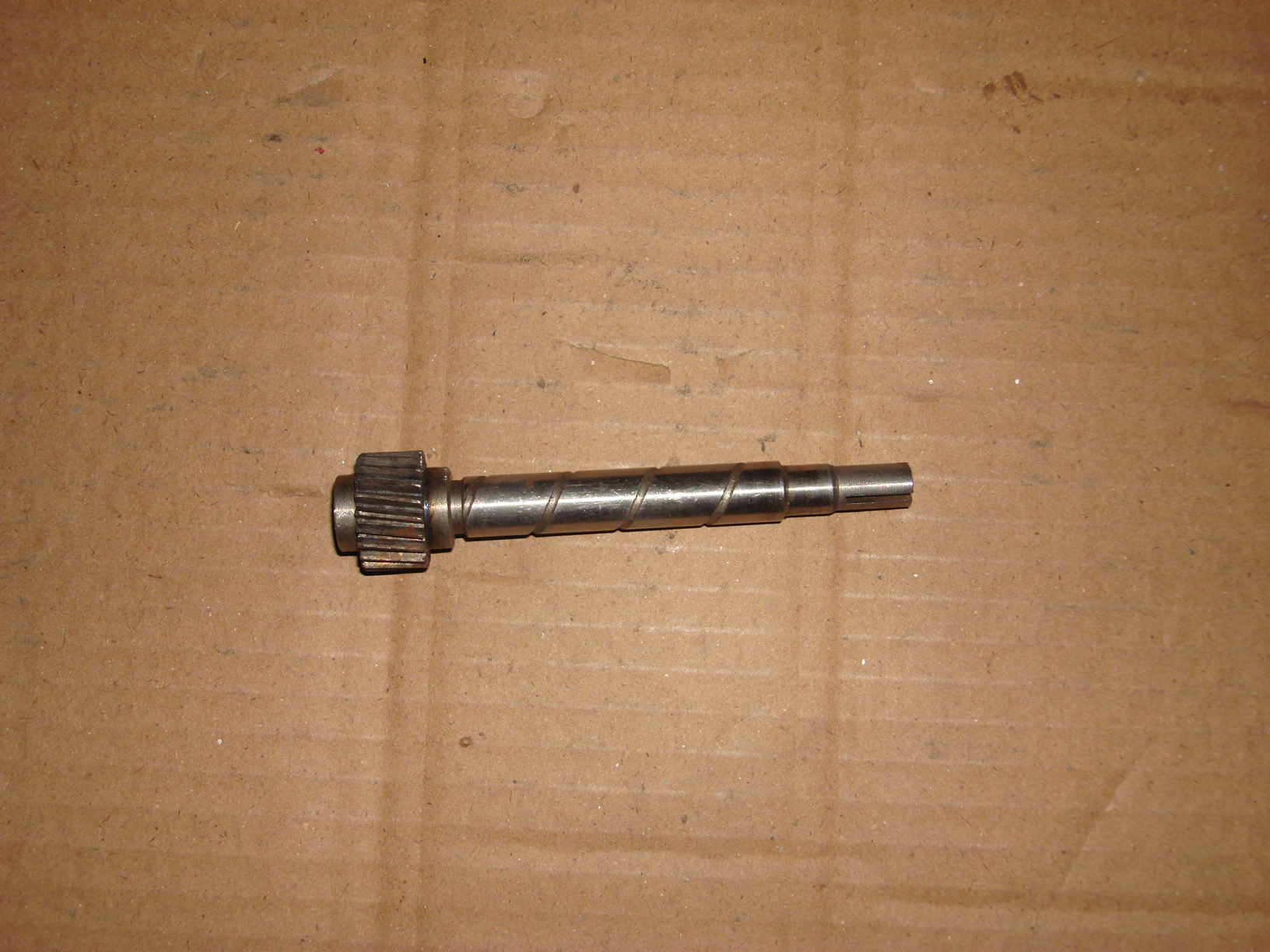 Driven gear; for speedometer transmission