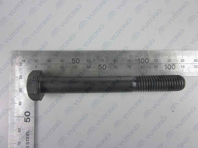 Shaft end bolt; M12*95 Level 10.9-1
