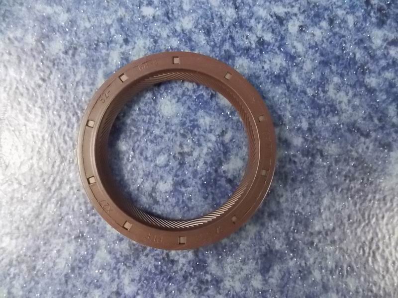 Front oil seal-1