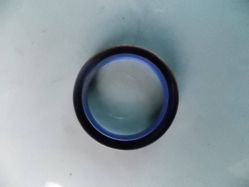 Two-axis oil seal