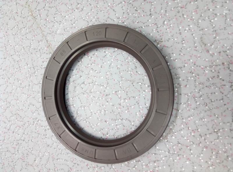 Two-axis rear oil seal