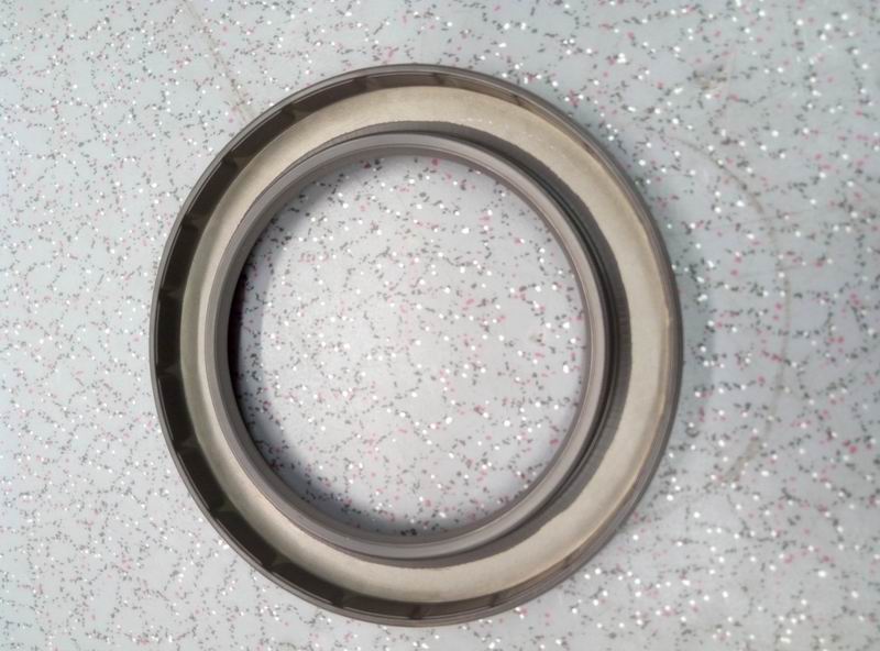 Two-axis rear oil seal-1