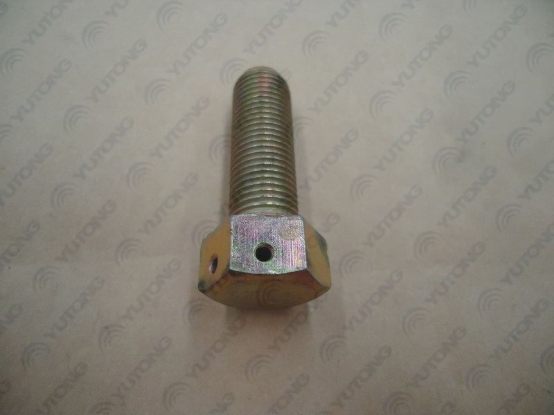 Shaft end locking bolt