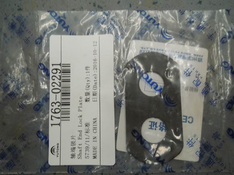Shaft end lock plate-1