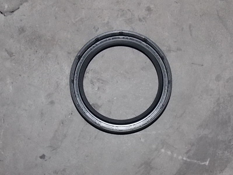 Two-axis oil seal