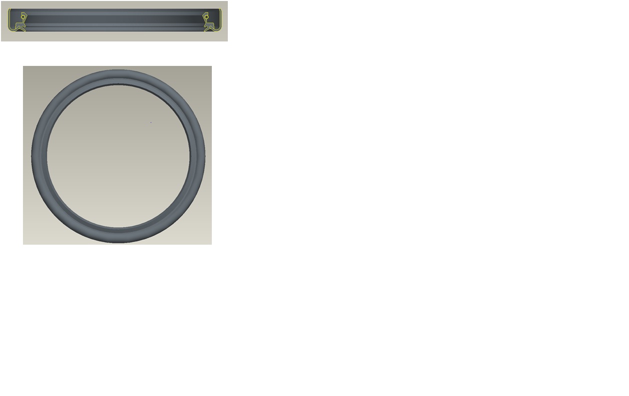 Two-axis inner oil seal