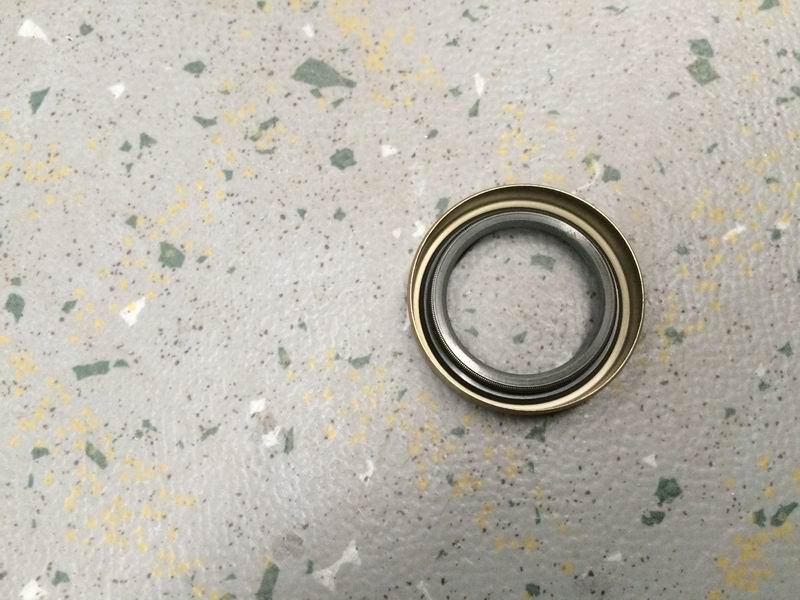Shift shaft oil seal