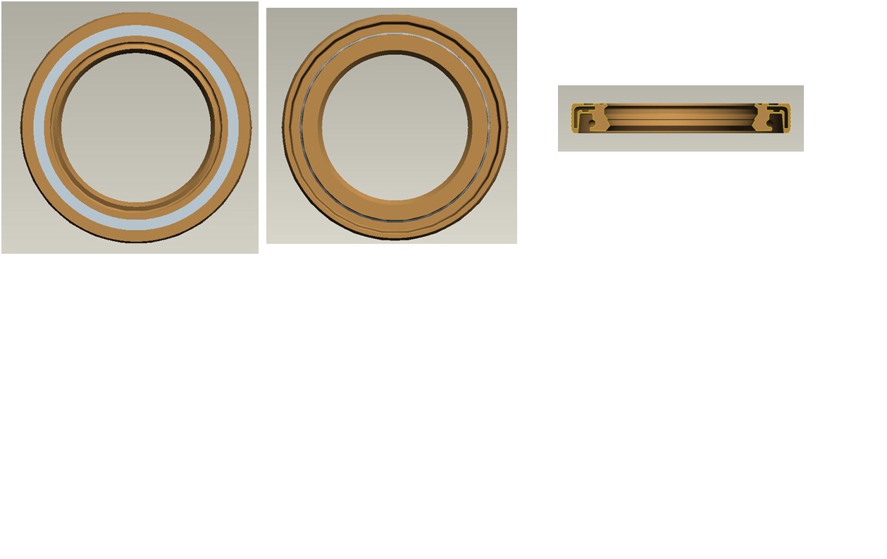 Shift shaft oil seal