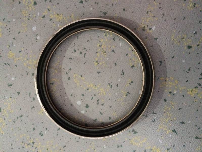 Skeleton oil seal-1
