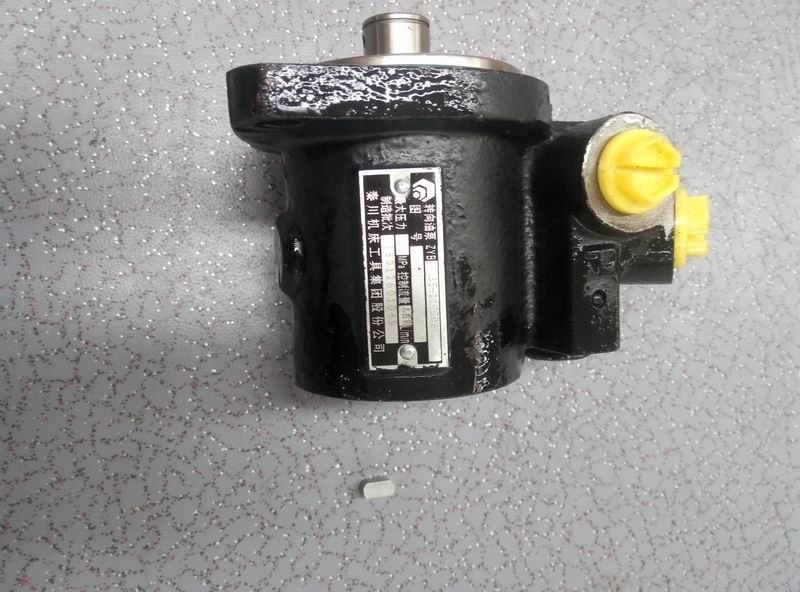 Steering oil pump-1