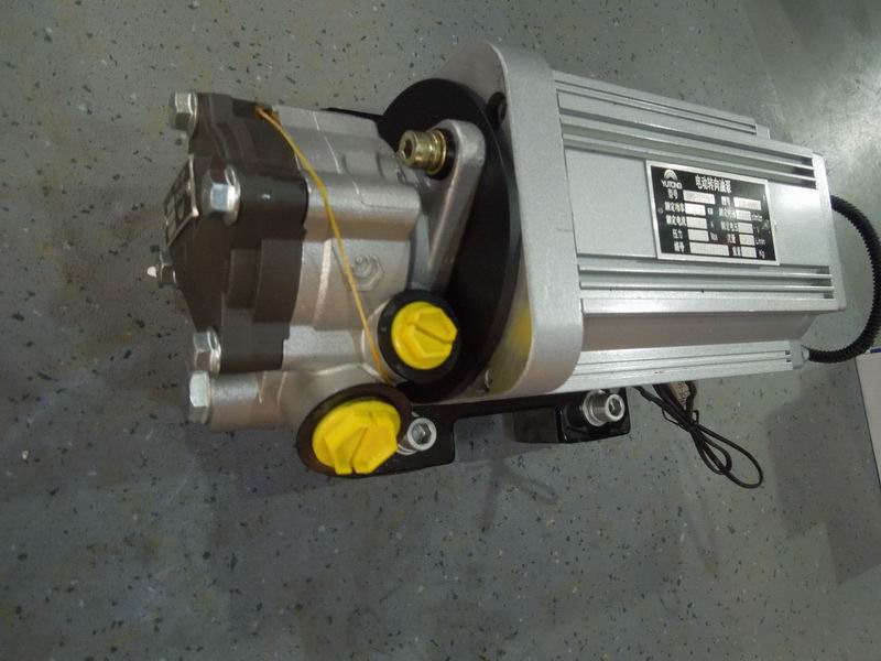 Electric steering oil pump-2