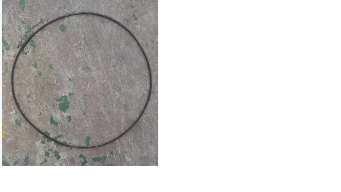 O-ring