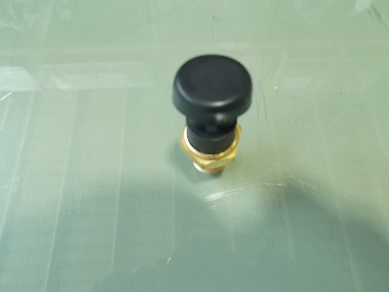 Water temperature meter sensor-1