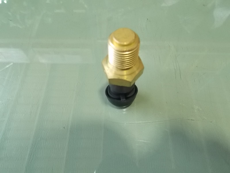 Water temperature meter sensor-2