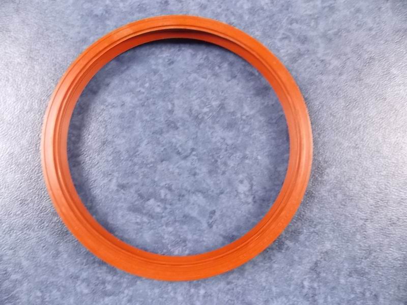Rear wheel oil seal