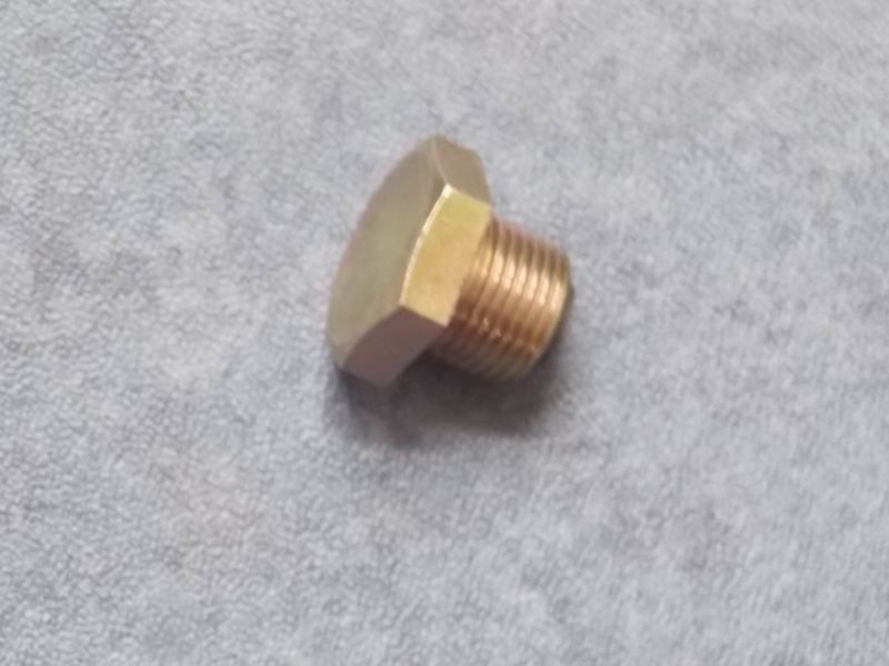 Oil drain plug assembly (with magnet)