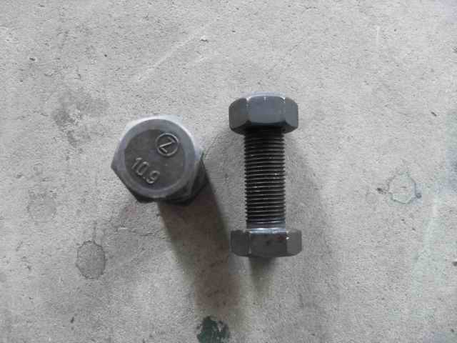 Flange bolt nut