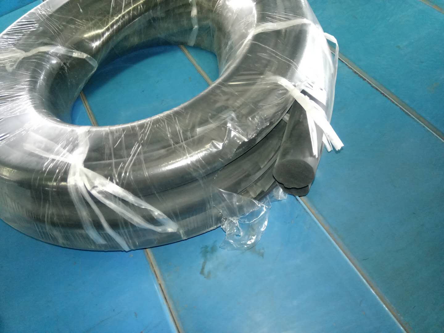 Rear door seal strip