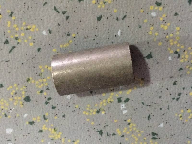 Ear bushing