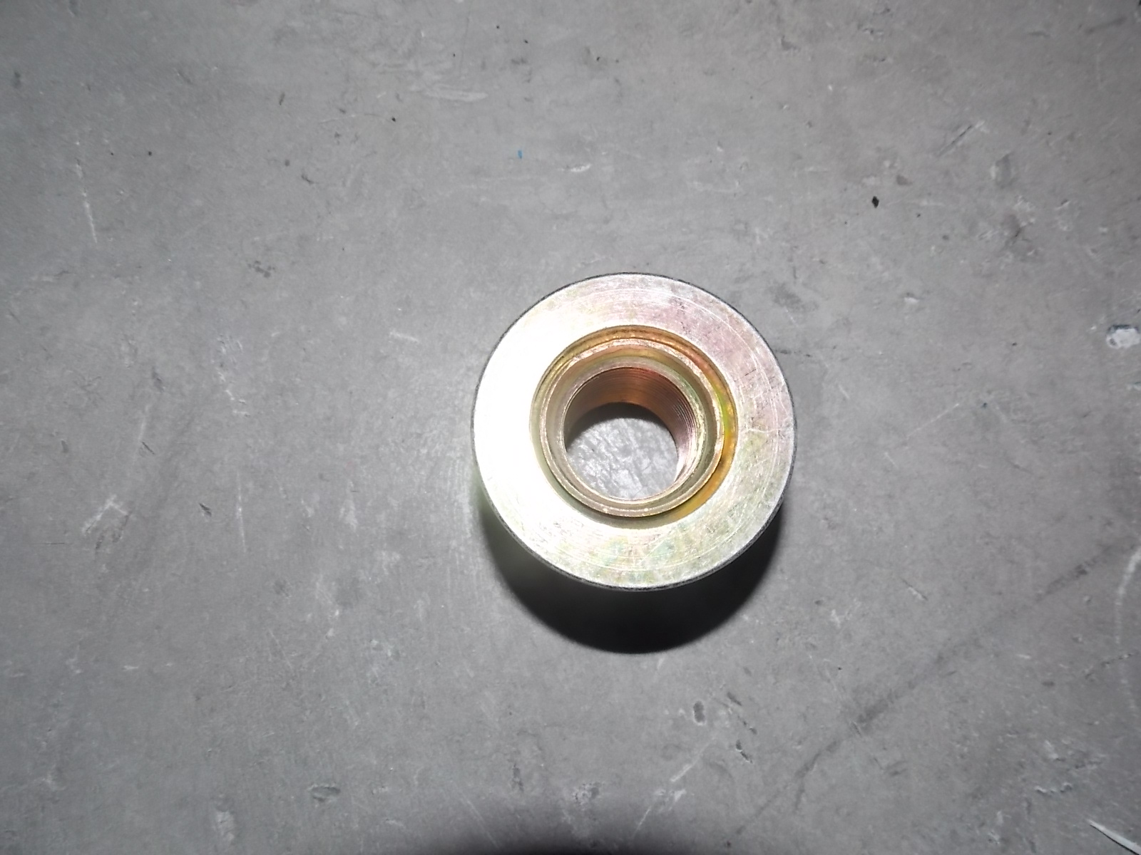 Tire nut assembly