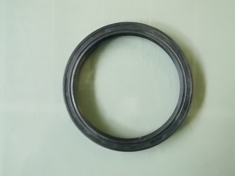 Oil seal in rear wheel hub