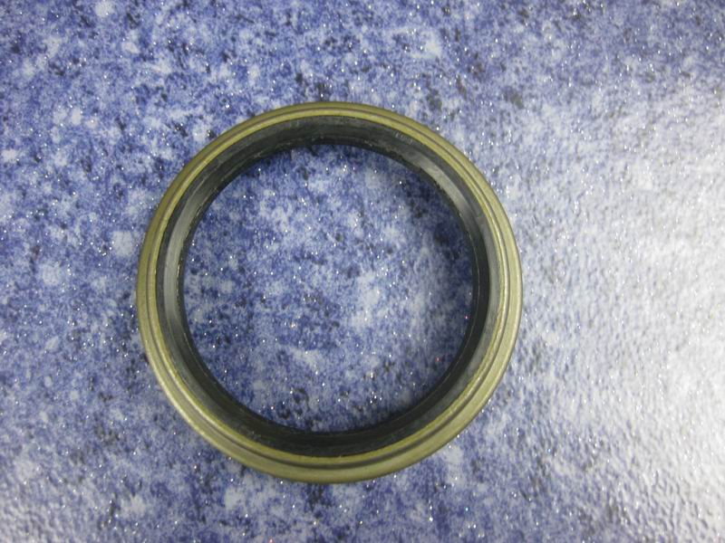 Rear wheel internal oil seal