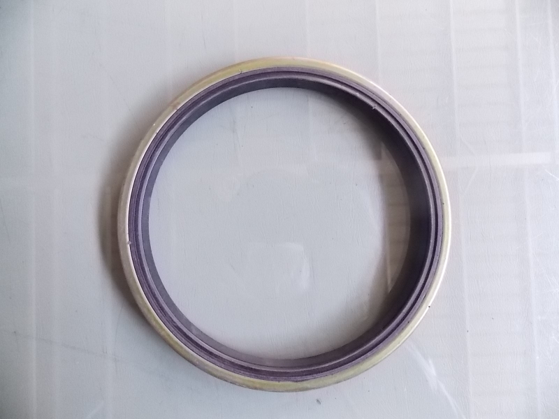 Rear wheel internal oil seal-1