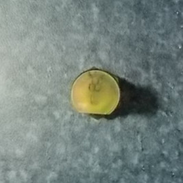 Left wheel bolt and nut assembly; contains 3 pieces-1