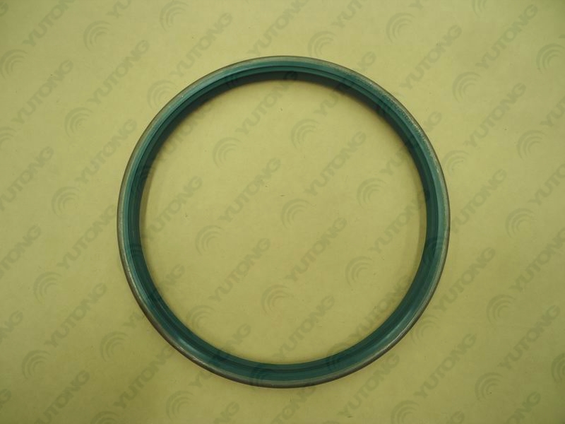 Shaft seal ring-1
