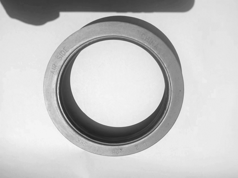Oil seal in the hub-2