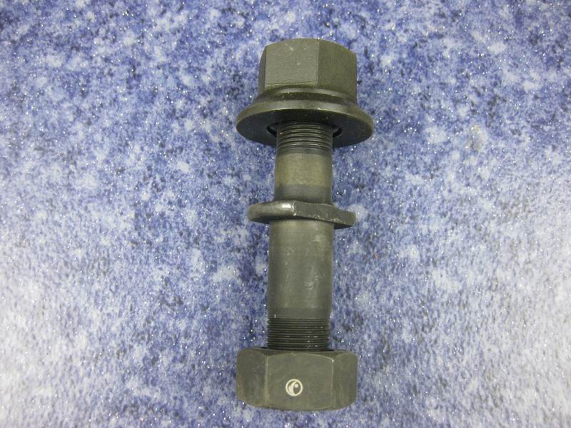 Wheel bolts and nut assembly