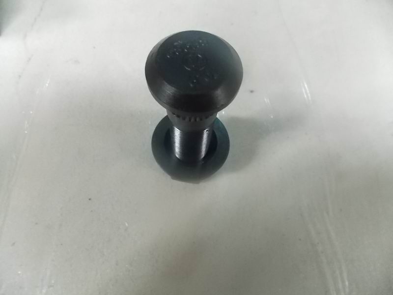 Wheel bolts and nut assembly