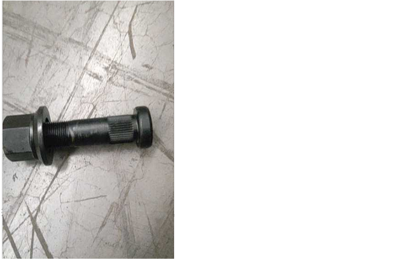 Rear wheel bolts and nuts