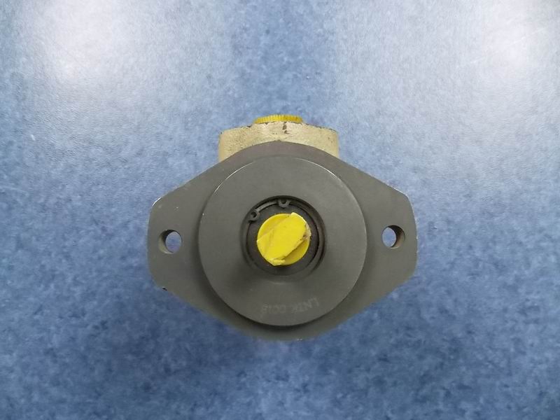 D Steering oil pump (Fuxin Taike FTZB05C)-3