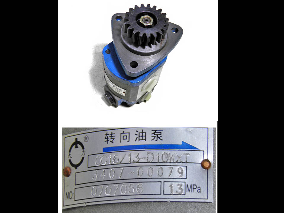 Steering oil pump (QC16/13-D10WXT)