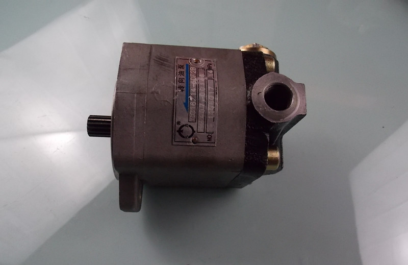 D Steering oil pump assembly (CA6DF3-24E3)