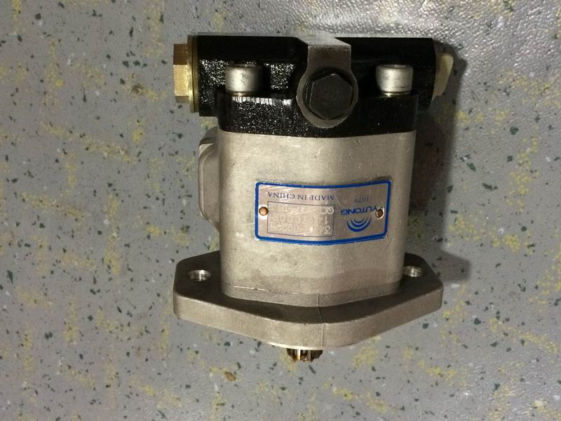 Steering oil pump (QC25/17-ISLE)-1