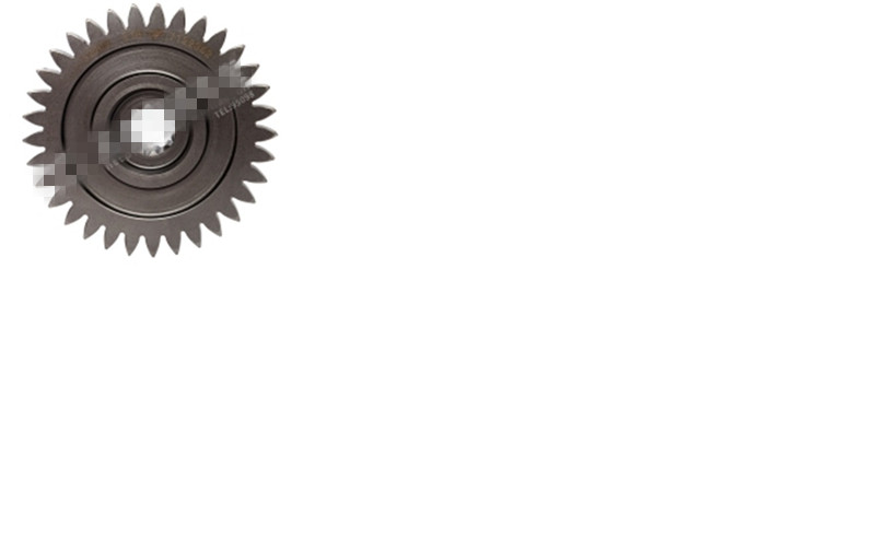 Steering oil pump gear