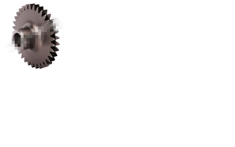 Steering oil pump gear-2