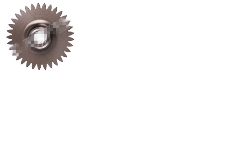 Steering oil pump gear-3