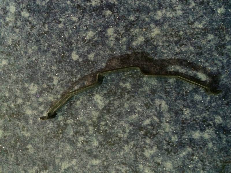 Friction plate retaining spring