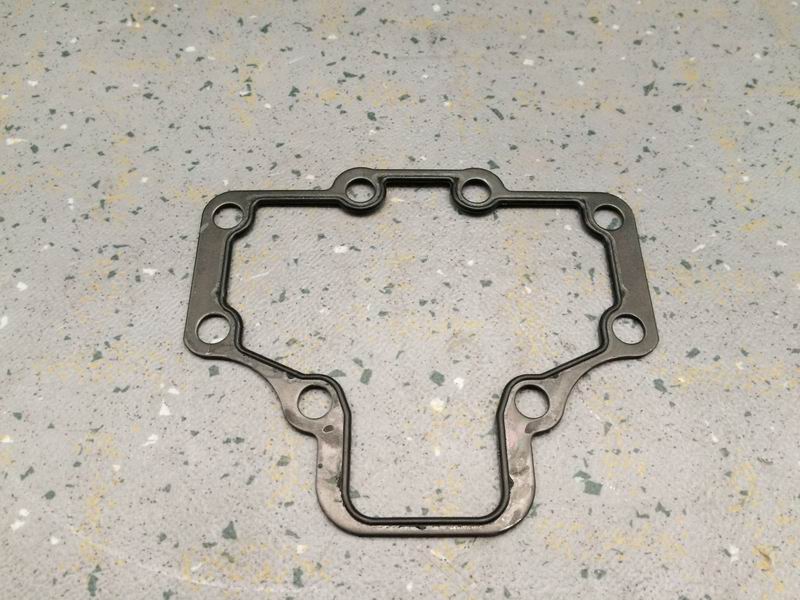 Уплотнительное кольцо головки блока цилиндров-1