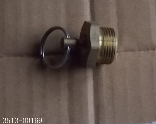 Manual drain valve