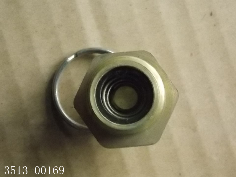 Manual drain valve-1